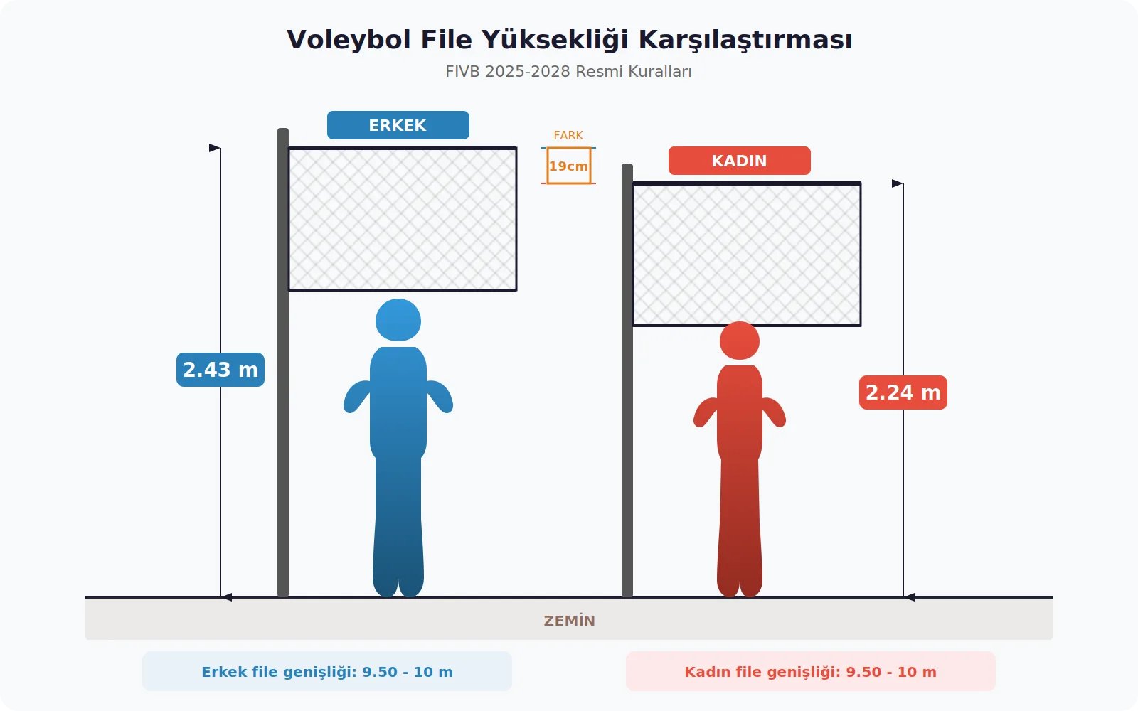 Voleybol file yüksekliği erkek kadın karşılaştırma 2.43m ve 2.24m